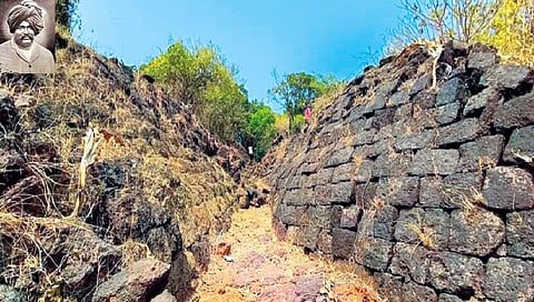 जागतिक हत्तीदिन विशेष : शाहूकाळात हत्तींच्या संरक्षणासाठी विशेष प्रयत्न
