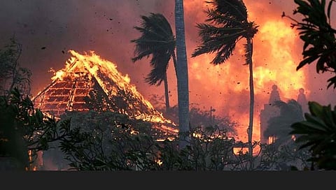 Hawaii wildfires | अमेरिकेच्या हवाई बेटावर अग्नितांडव! जंगलातील वणव्यात ५३ जणांचा मृत्यू, १ हजार बेपत्ता