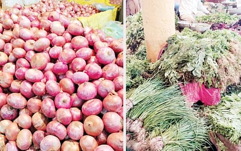 onion vegetable
