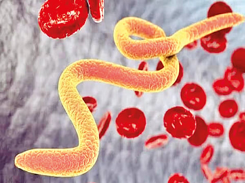 Treatment of stomach worms : पोटातील जंतावर हे आहेत सोपे घरगुती उपचार