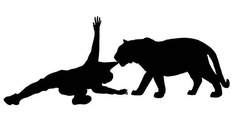 Wild animal attack
