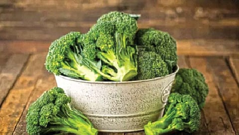 Broccoli