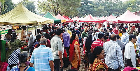 Pune News : पुण्यात अनधिकृत आठवडे बाजारांचा सुळसुळाट; 100 पैकी सहाच बाजार अधिकृत!