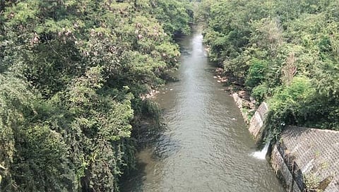 छ. संभाजीनगर : नाथसागर धरणातून डाव्या कालव्याद्वारे आवर्तन सुरू