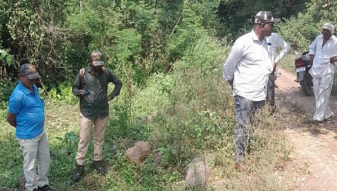 Nashik News : सावरगाव शिवारात हिंस्त्र प्राण्यांचा धुमाकूळ, पाळीव प्राण्यांवर होताय हल्ले