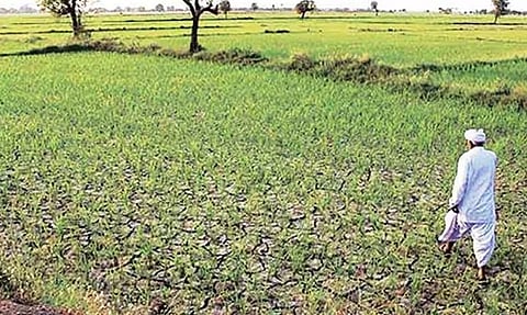दुष्काळ फक्त जाहीर; घोषणांचा पाऊस, अंमलबजावणी कधी ?