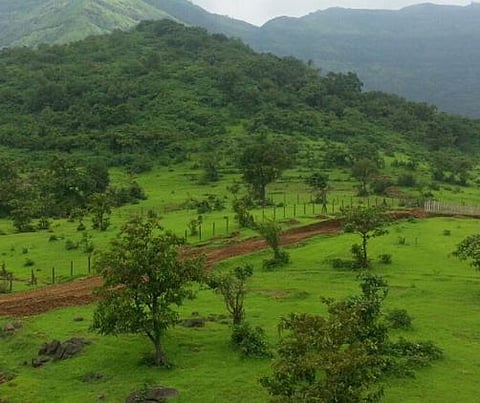 Pune : ’मुळशी’च्या प्रत्येक प्रवेशद्वाराजवळ हवा तपासणी नाका