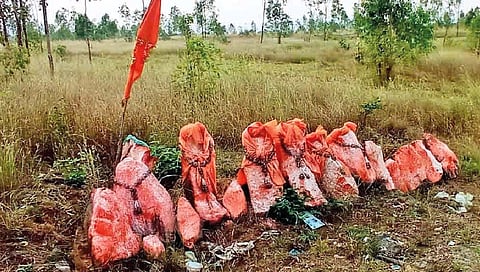 कोल्हापूर : बोरवडे शिवारात दगडी मूर्तींची अघोरी पूजा; अज्ञाताकडून प्रकार, गावात भीतीचे वातावरण