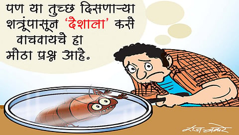 लवंगी मिरची : माणसाचे ‘नवे शत्रू’