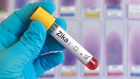 Zika virus : कोल्हापूर शहरात चार गर्भवतींना झिकाची बाधा; सर्वेक्षण गतीने; आरोग्य विभाग सतर्क