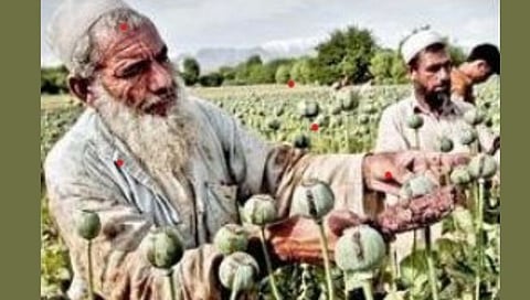Afghanistan News
