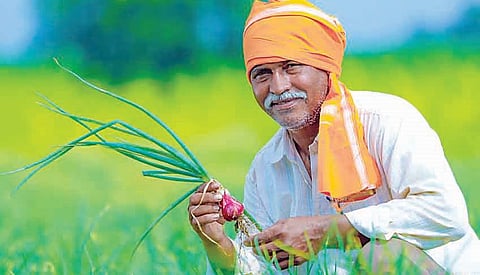 शेतकर्यांना एक रुपयात रब्बी पीकविम्याचा लाभ