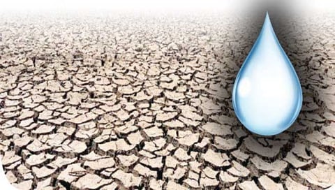 Nashik Drought News : नाशिक जिल्ह्यात १,०८८ गावांमध्ये दुष्काळ