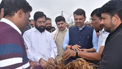 नागपूर : धान उत्पादकांशी शेतात जाऊन मुख्यमंत्री, उपमुख्यमंत्र्यांची भेट