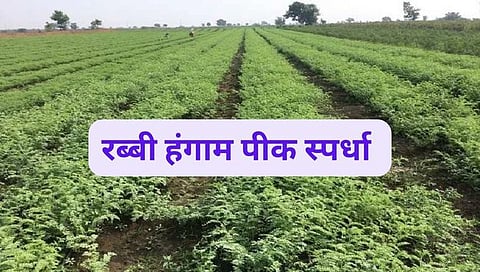 Crop Competition : रब्बी हंगाम पीक स्पर्धेत सहभाग घ्या, 31 डिसेंबर पर्यंत करा अर्ज