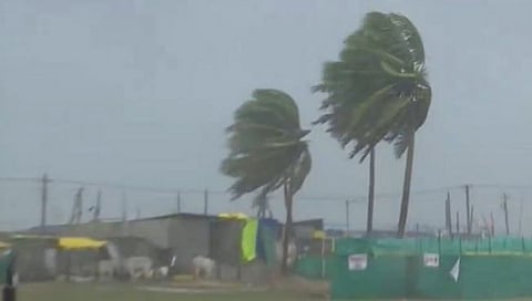 Cyclone Michaung Update