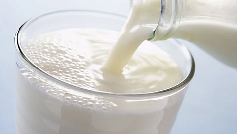 Cow Milk : गाय दुधाला 5 रुपये अनुदान