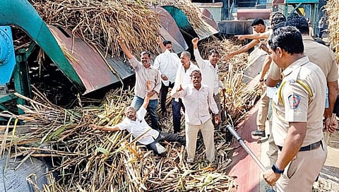 सांगली : राजारामबापू कारखान्याच्या गव्हाणीत टाकल्या उड्या