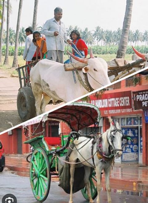 बैलगाडी, टांगा आणि सायकल कालबाह्य होण्याच्या मार्गावर