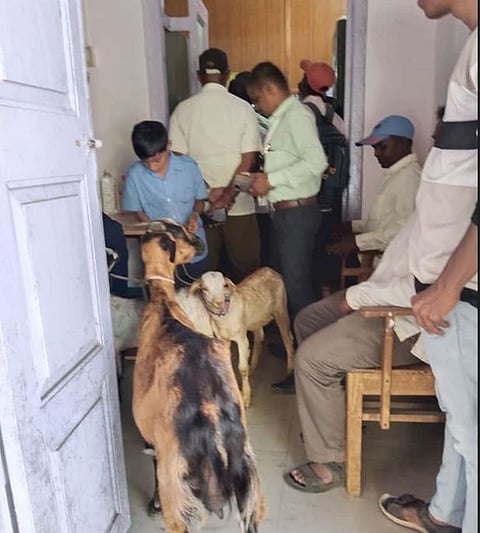 शहापुरात शिक्षण विभागाच्या दालनात भरली शाळा