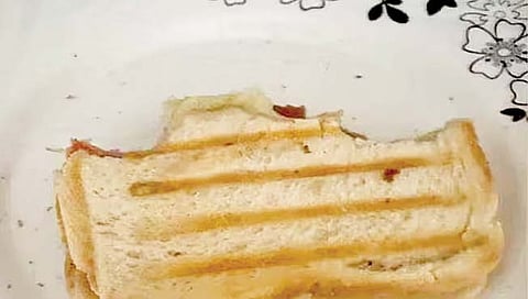 तब्बल 10 कोटींचे सँडविच