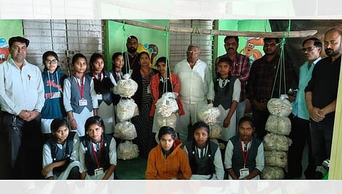 धुळे : ‘मुख्यमंत्री माझी शाळा सुंदर शाळा’ उपक्रमांतर्गत विद्यार्थिनींनी केली मशरुम शेती
