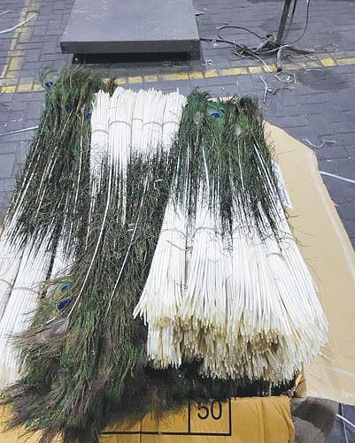 जेएनपीए बंदरातून 28 लाख मोरपीसांचा साठा जप्त