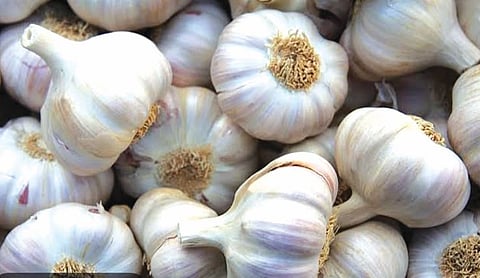 Garlic Price Hike