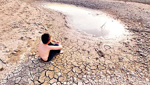 मराठवाड्यात ३१९ टँकरने पाणीपुरवठा