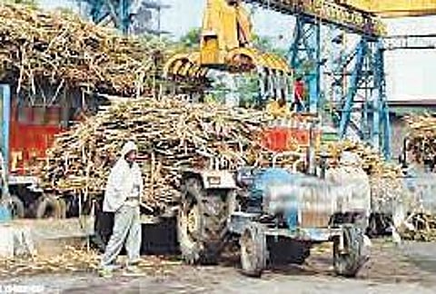 Pune : जिल्ह्यात अद्यापही 75 लाख टन ऊस गाळप बाकी