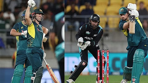 NZ vs AUS T20 : टीम डेव्हिडने किवींच्या जबड्यातून विजय हिसकावला, कांगारूंनी पहिली टी-20 जिंकली