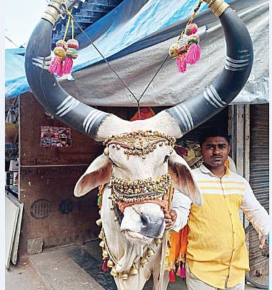 मोहन