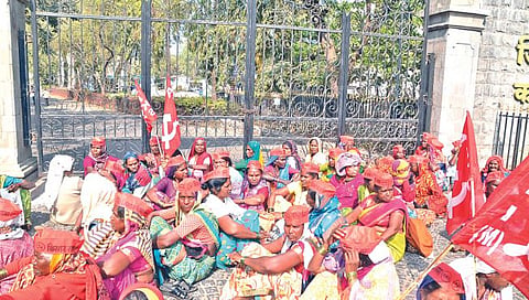 Nashik News : जिल्ह्यात वनहक्काचे २२ हजार दावे फेटाळले, आजपर्यंत ‘इतके’ क्षेत्र आदिवासींना वितरित