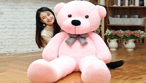 Teddy bear