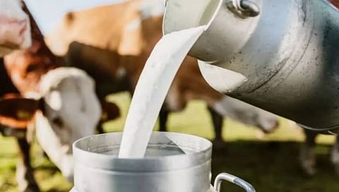 Milk Subsidy | दुष्काळात तेरावा ! दूध अनुदानाचे घोडं नेमकं अडलं कुठं? बळीराजा संतप्त