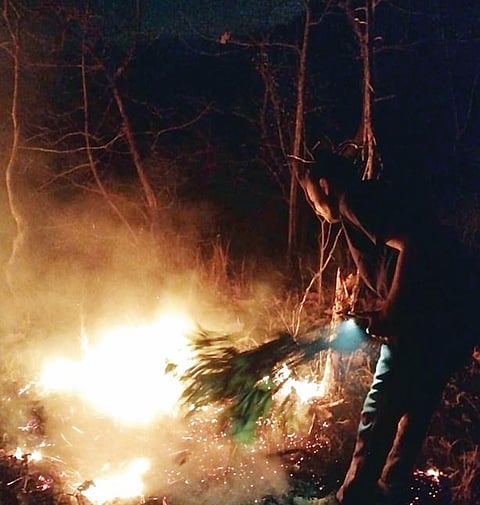 Wildfire : सिंहगडाच्या जंगलात वणव्यांची मालिका सुरूच