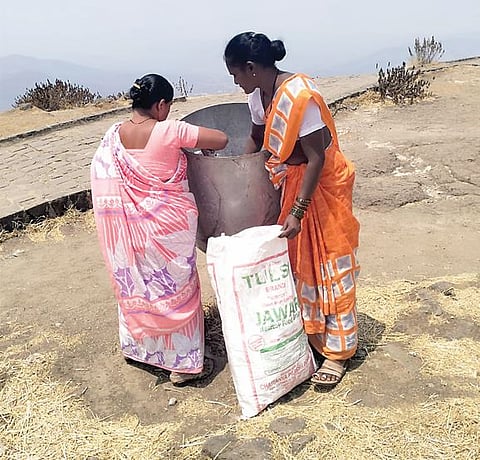 सिंहगडावर 5 जूनपासून प्लास्टिक बंदी; वन विभागाचे नियोजन सुरू