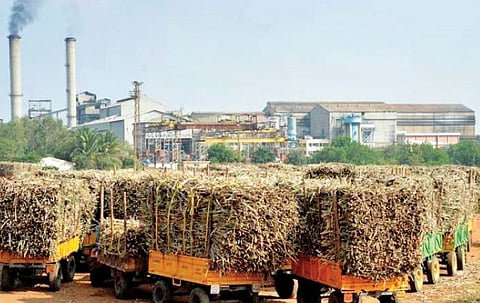 अद्यापही शंभर लाख टन उसाचे गाळप अपेक्षित