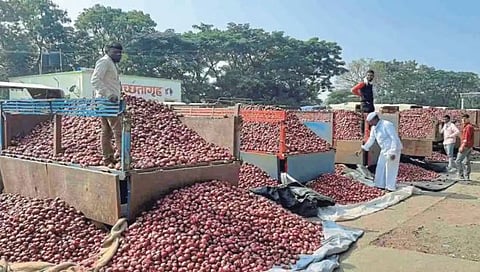 APMC Levy : लेव्हीचा निर्णय प्रलंबित, पाडव्याचाही मुहूर्त टळला; संचालकांची आज होणार बैठक