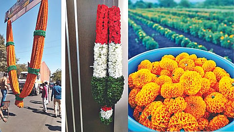 लोकसभा 2024 | निवडणुकीत उत्साहाचा बदलतोय ट्रेंड; शेतकऱ्यांकडे फुलांची आगाऊ मागणी
