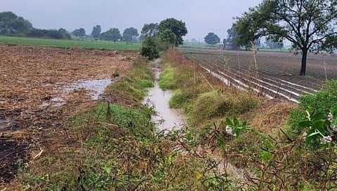 Gondia Rain