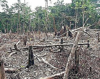 नैसर्गिक र्हासाने उष्मा वाढला; उष्माघाताचा परिणाम नागरिकांना असह्य