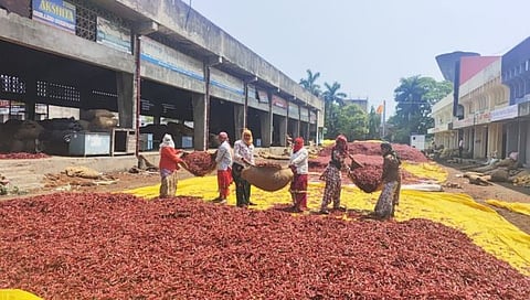 nagpur mirchi