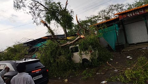 धाराशिव: येरमाळा येथे वादळी वाऱ्याने पत्रे उडाले, लाखाेंचे नुकसान