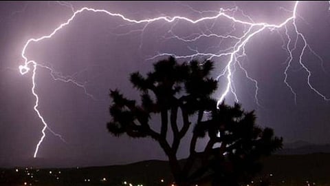 Wardha lightning strike |