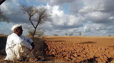 राज्याला पूर्णवेळ कृषी आयुक्त नाहीच!