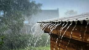Raigad Rain Update