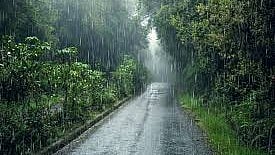 Rain will increase