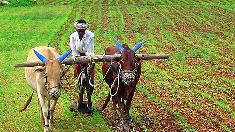 Maharashtra Farmer