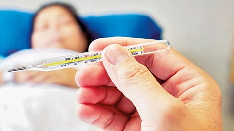 Dengue outbreak